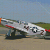 P51 Mustang Red Tail Diamond Painting