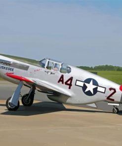 P51 Mustang Red Tail Diamond Painting