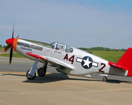 P51 Mustang Red Tail Diamond Painting