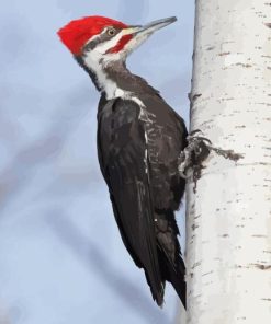 Pileated Woodpecker Diamond Painting