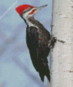 Pileated Woodpecker Diamond Painting