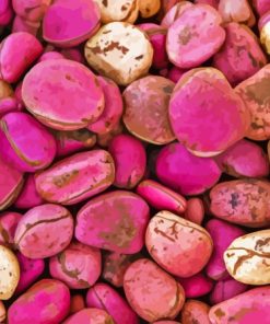 Pink Kola Nut Diamond Painting