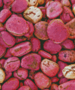 Pink Kola Nut Diamond Painting