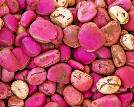 Pink Kola Nut Diamond Painting