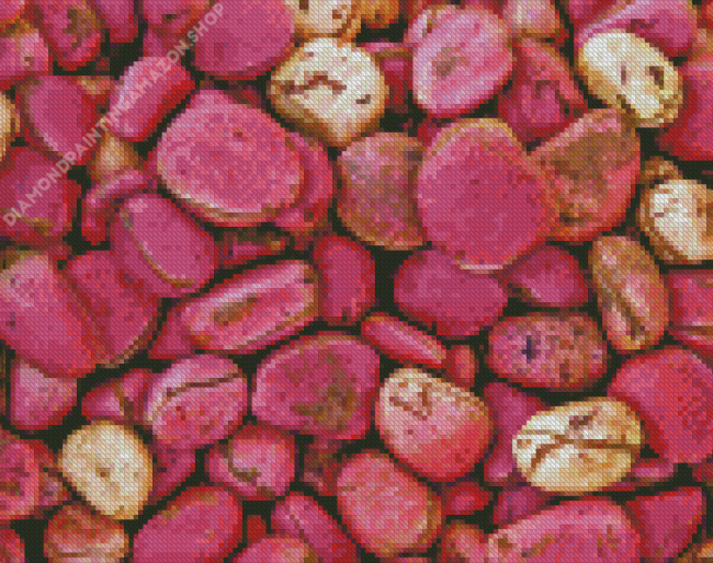 Pink Kola Nut Diamond Painting