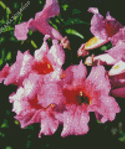 Pink Trumpet Vine Diamond Painting