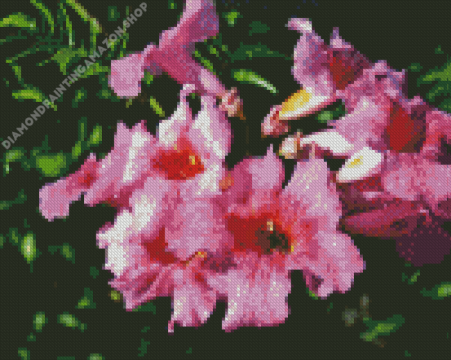 Pink Trumpet Vine Diamond Painting