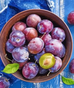 Fresh Plums Fruits Diamond Painting