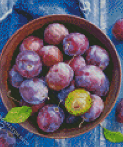 Fresh Plums Fruits Diamond Painting