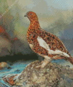 Ptarmigan Bird Diamond Painting