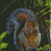 Red Squirrel Diamond Painting