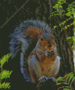 Red Squirrel Diamond Painting