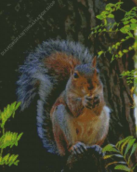 Red Squirrel Diamond Painting