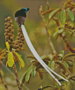 Ribbon Bird On Tree Diamond Painting