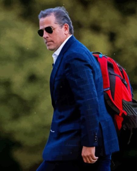 Robert Hunter Biden Diamond Painting