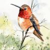 Rufous Hummingbird Art Diamond Painting