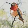 Rufous Hummingbird Art Diamond Painting