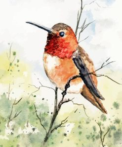 Rufous Hummingbird Art Diamond Painting