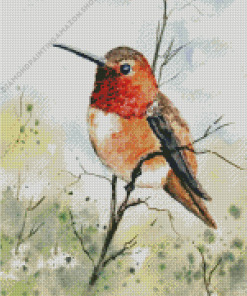 Rufous Hummingbird Art Diamond Painting