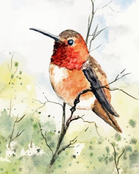 Rufous Hummingbird Art Diamond Painting