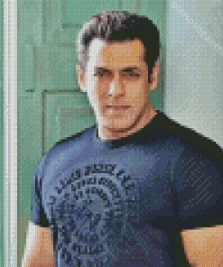 Salman Khan Actor Diamond Painting