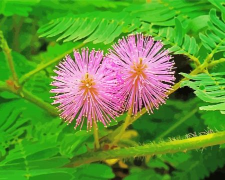 Sensitive Succulent Diamond Painting
