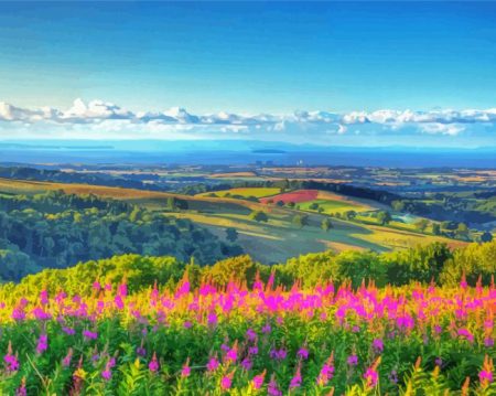 Somerset Nature Diamond Painting
