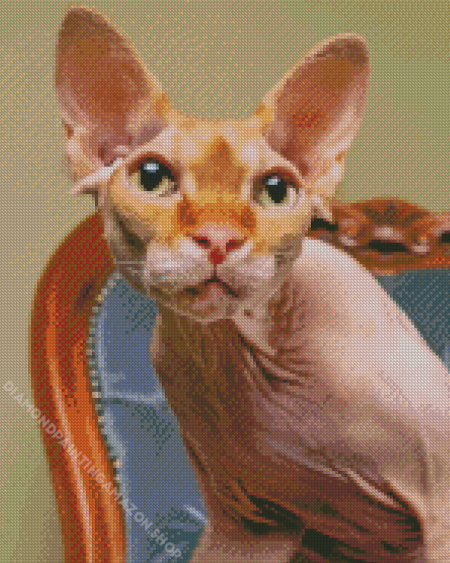 Sphynx Cat Animal Diamond Painting