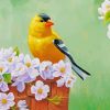 Spring Goldfinch Diamond Painting