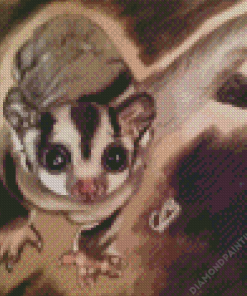 Sugar Glider Art Diamond Painting