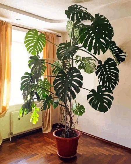 Swiss Cheese Plant Diamond Painting