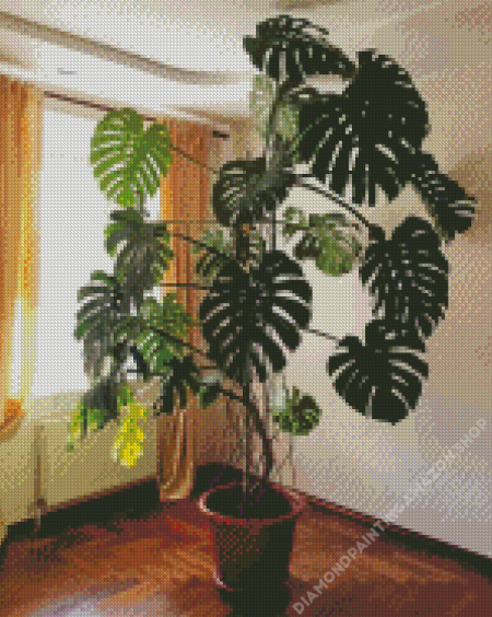 Swiss Cheese Plant Diamond Painting