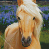 Beautiful Tan Horse Diamond Painting