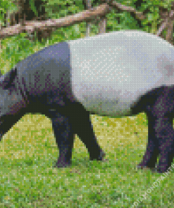 Tapir Animal Diamond Painting