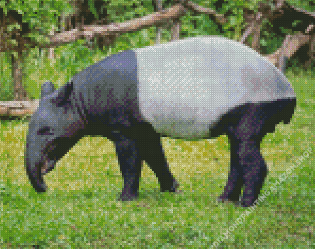 Tapir Animal Diamond Painting