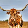 Texas Longhorn Cow Diamond Painting