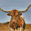 Texas Longhorn Cow Diamond Painting