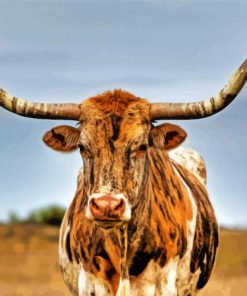 Texas Longhorn Cow Diamond Painting