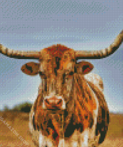 Texas Longhorn Cow Diamond Painting