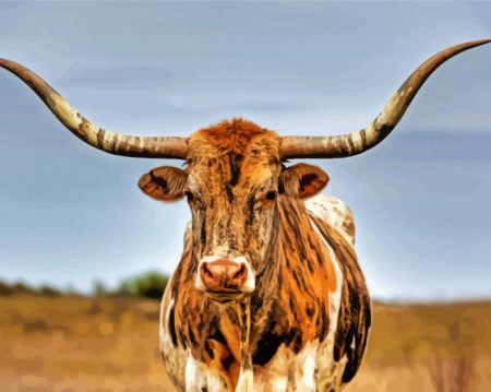 Texas Longhorn Cow Diamond Painting