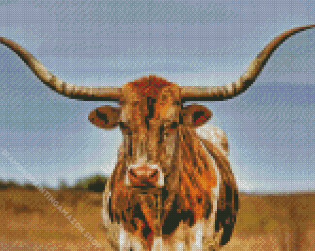 Texas Longhorn Cow Diamond Painting