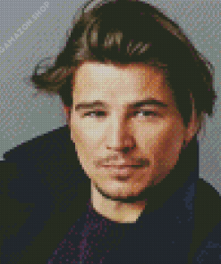 The Actor Josh Hartnett Diamond Painting