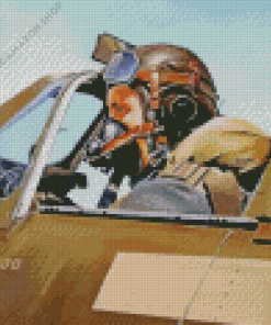 The Pilot Art Diamond Painting