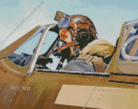 The Pilot Art Diamond Painting