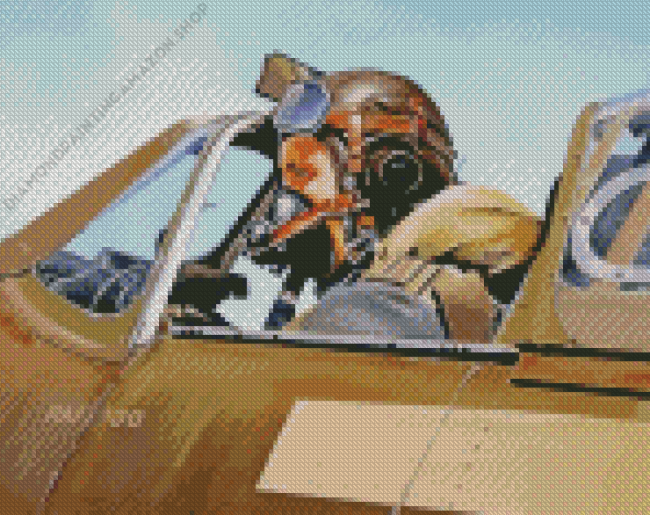 The Pilot Art Diamond Painting