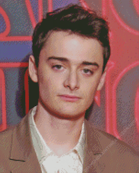 The Actor Noah Schnapp Diamond Painting