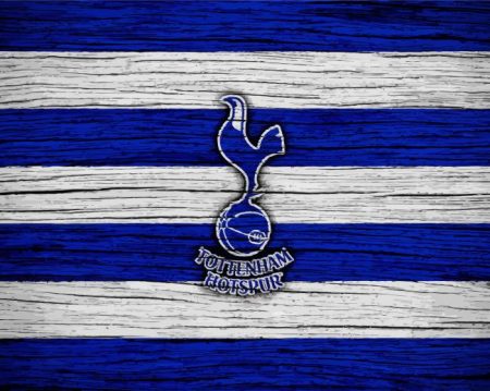 Tottenham Hotspur Fc Diamond Painting