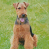 Welsh Terrier Dog Diamond Painting