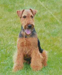 Welsh Terrier Dog Diamond Painting