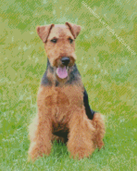 Welsh Terrier Dog Diamond Painting
